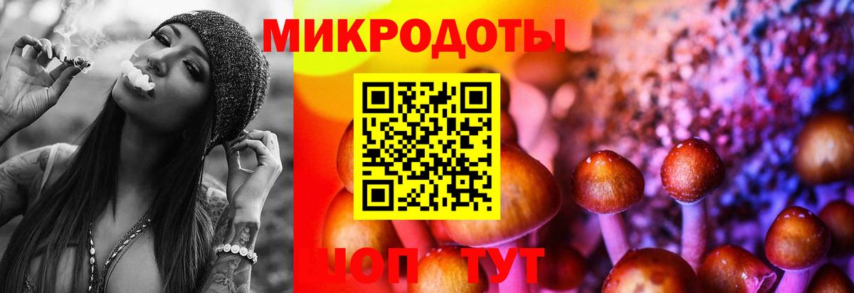 Псилоцибиновые грибы ЛСД  Вход с VPN  Галлюциногенные грибы прущие грибы  Новозыбков 